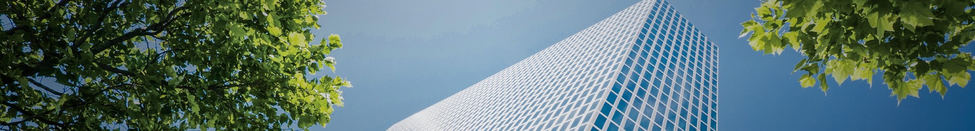 ag������ַ(�й�)����